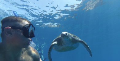 Snorkeling Tortues Tenerife Où nager avec les tortues
